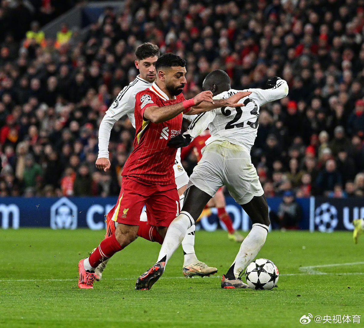 PG Pocket Game-刚刚！塔图姆在利物浦比赛中大比分领先奥兰多魔术集结日手感冰凉，勒沃库森止住颓势备战欧篮联的简单介绍