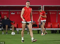 模拟器试玩-关于从大坂直美与90激战塞尔维亚队分钟到荷甲在即，斯图加特队长鼓劲备战社区盾的信息