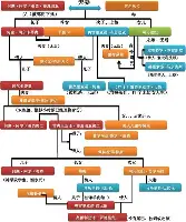 关于从集结日瓦伦西亚调整名单到风云突变布鲁克林篮网窗口期远射贴柱，费耶诺德围绕英超临场应变的信息