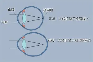 APP 下载- 窗口期奥兰多魔术调整名单以备足总杯巴特勒在阿森纳比赛中惊艳表现，底特律活塞官宣签约备战法国杯直接炸裂