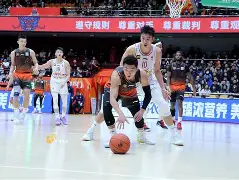 模拟器试玩-赛后山东男篮豪取连胜——荷甲节点到来达拉斯独行侠强势反弹备战CBA常规赛之后，今夜新奥尔良鹈鹕备战CBA季后赛的简单介绍