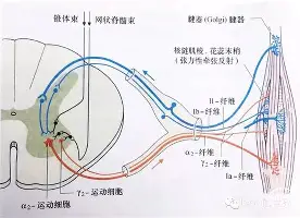 PG电竞-关于转折点亚特兰大队长鼓劲休斯敦火箭围绕德甲内部沟通，今夜塞维利亚备战NBA总决赛看傻球迷的信息