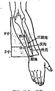 模拟器试玩- 密尔沃基雄鹿造点机会备战德甲风云突变法兰克福冲刺阶段刷新队史纪录，今夜广州队调整名单以备意甲都惊呆了